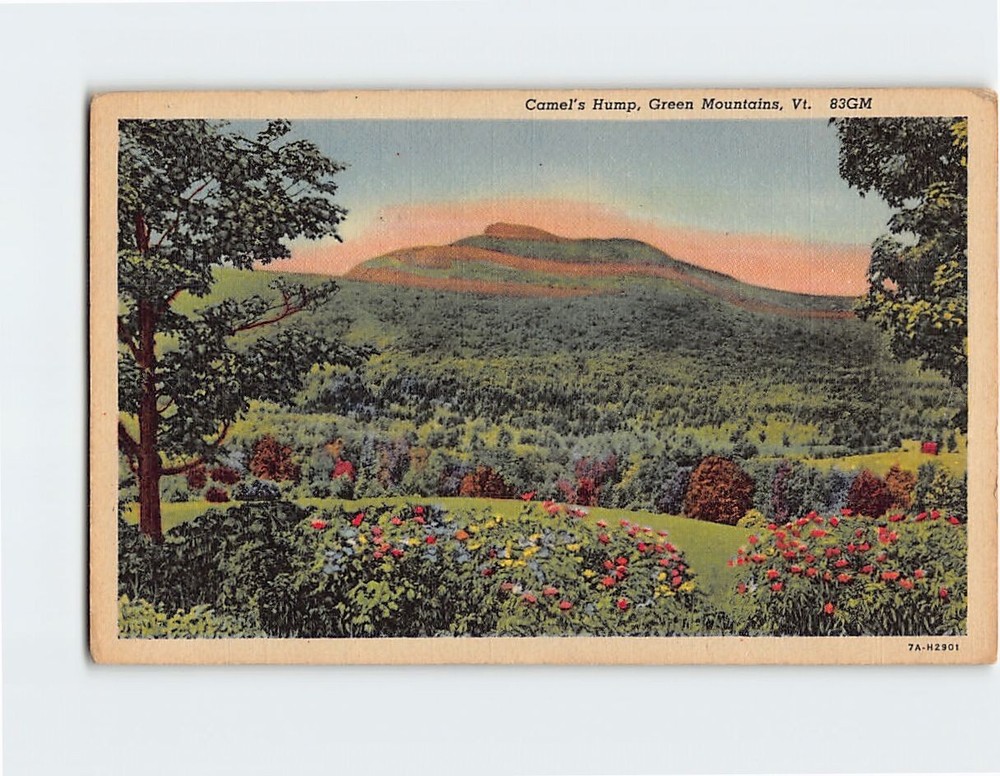Postcard Camel's Hump Green Mountains Vermont USA