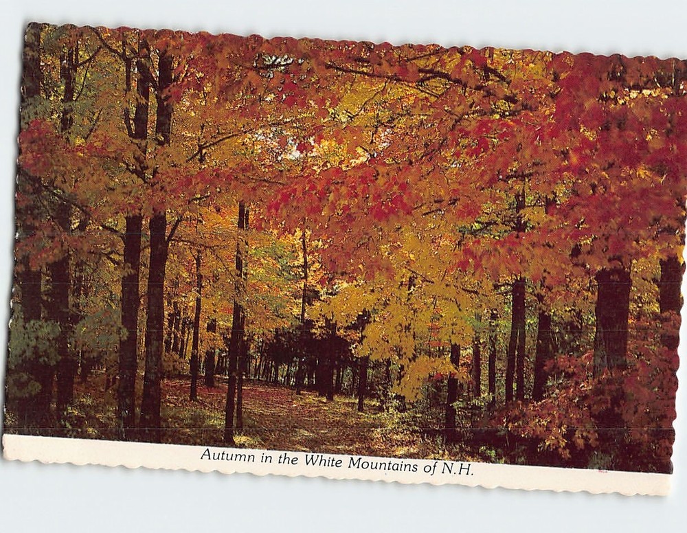 Postcard Autumn in the White Mountains of NH USA