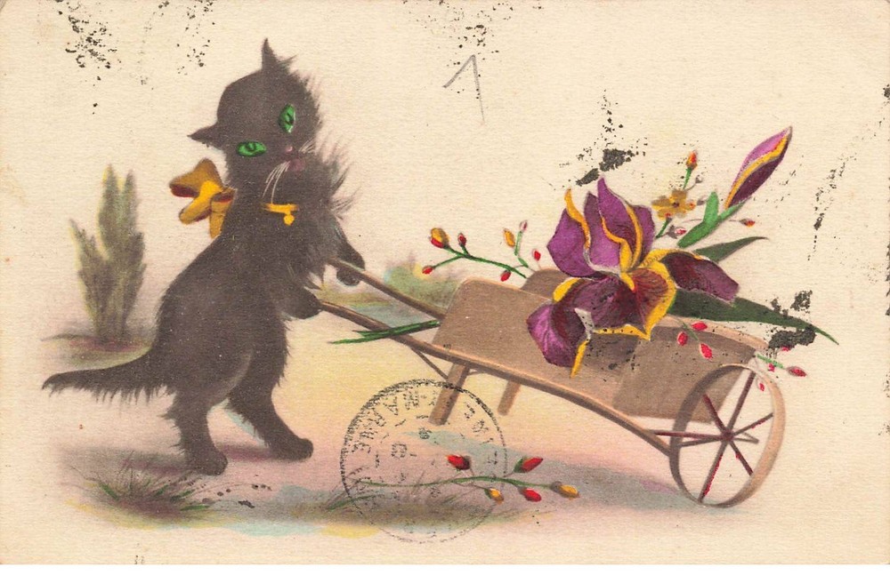 Mikidp1-004 - Black Cat With Green Eyes With Flower Wheelbarrow Edit Mga 715
