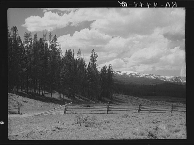 Photo:Teton National Forest Wyoming 1936 Forest Landscape Fence Mountains