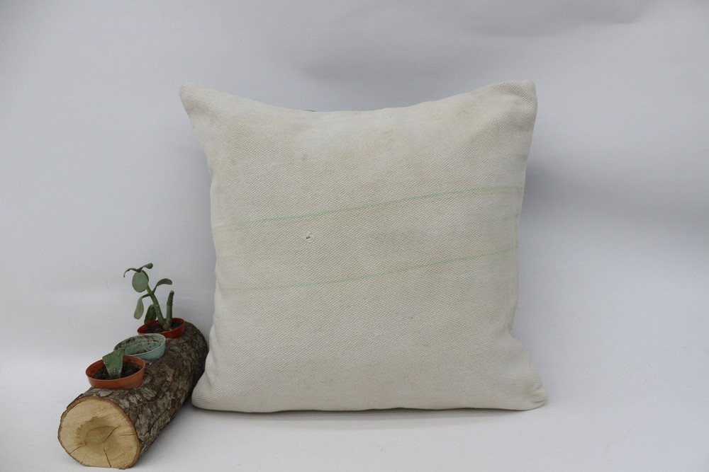 Pillow Covers, 16