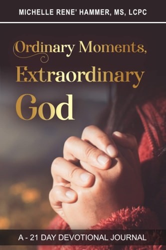 Ordinary Moments, Extraordinary God: A 21-Day Devotional Journal by Hammer MS, M