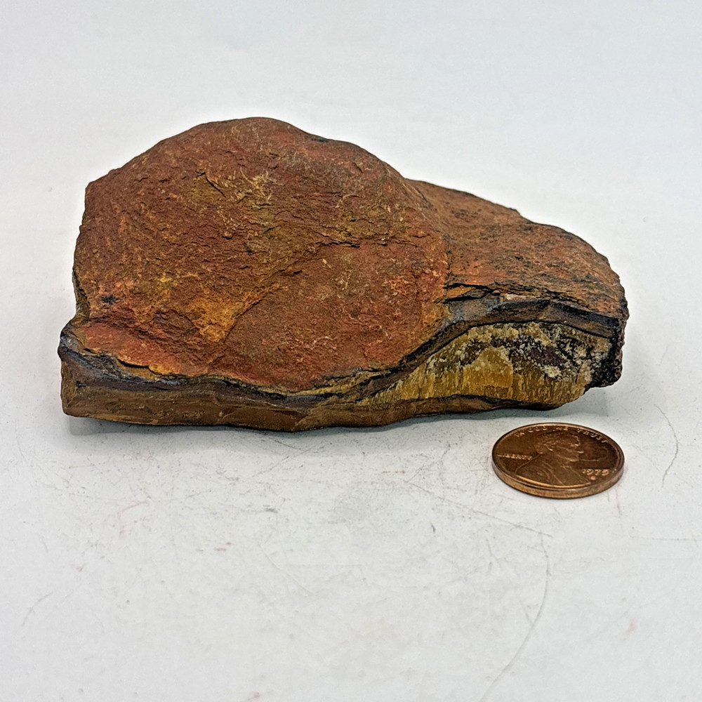 Beautiful Yellow or Golden Tigers Eye Specimen 234 Grams