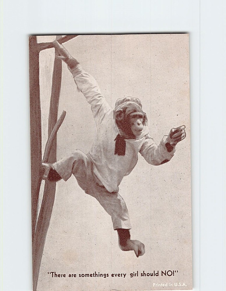 Postcard Chimpanzee Monkey Joke/Humor Anthropomorphic Animal Comic