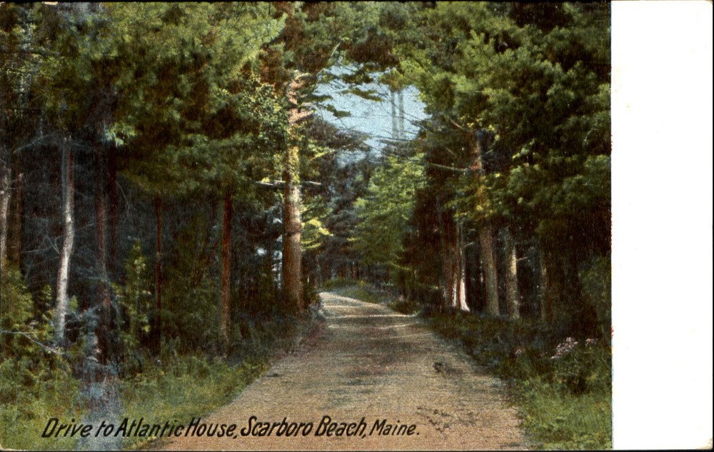 Drive to Atlantic House Scarboro Beach Maine ME Leighton Publ ~ UDB c1905