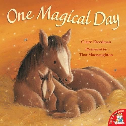 One Magical Day by MacNaughton, Tina Paperback Book The Fast Free ShippingFREE US DELIVERY | ISBN: 1845064577 | Quality Books