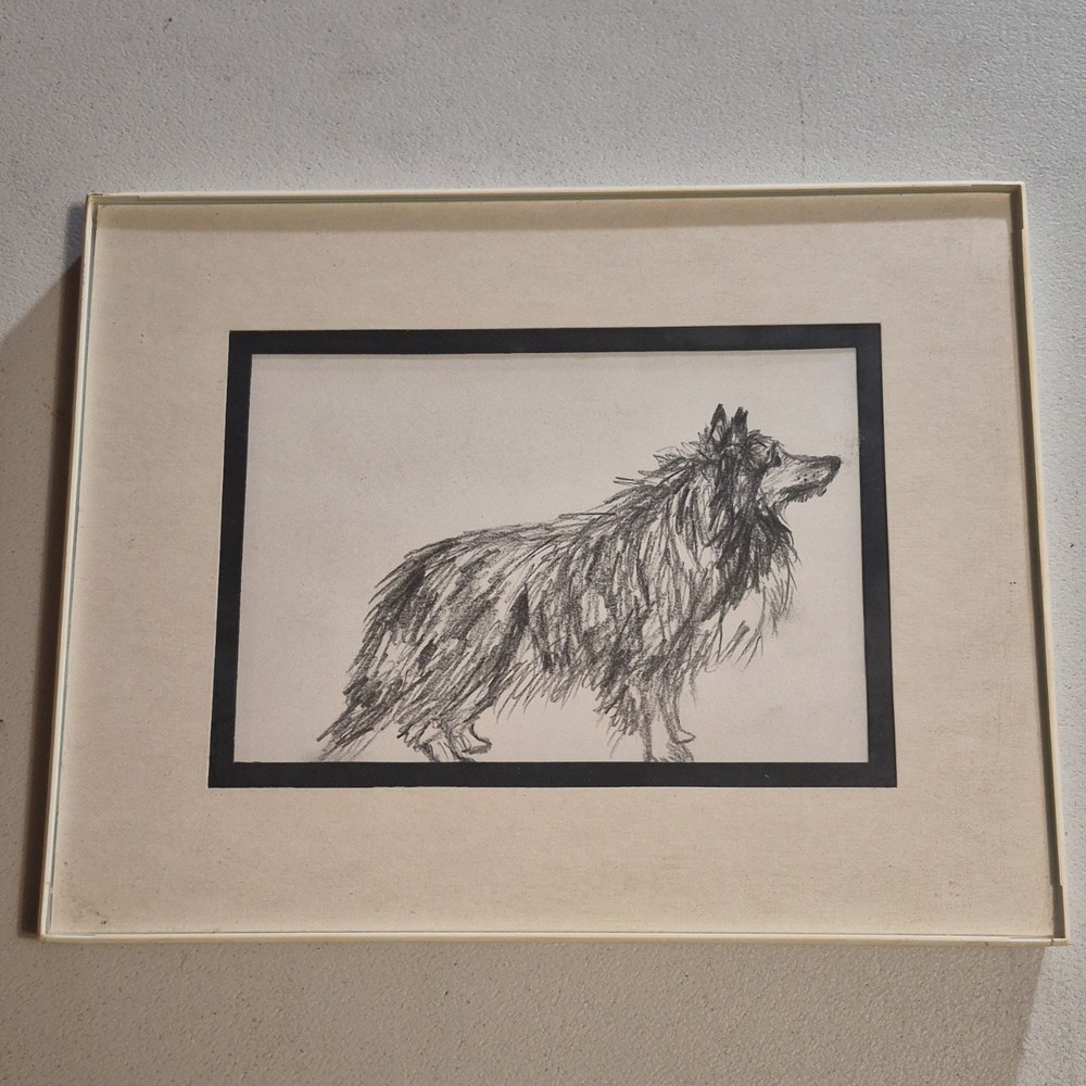 Ananda Original Dog Pencil Drawing Signed Matted Realism Art OOAK