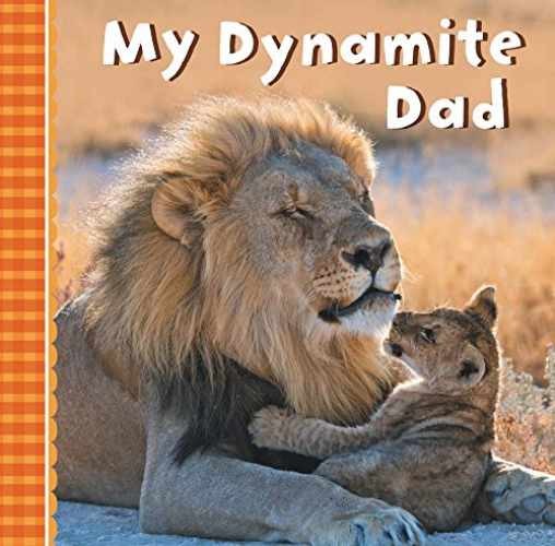 My Dynamite Dad - Board book, by Sterling Children's - Very Good