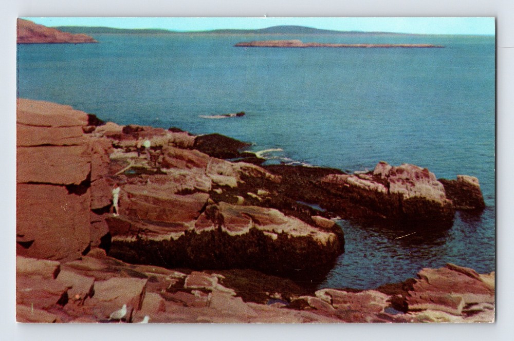 Postcard Maine Bar Harbor ME Acadia National Park Ocean Drive 1950s Unposted-image