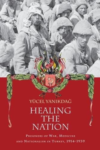 Yucel Yanikdag Healing the Nation (Paperback)