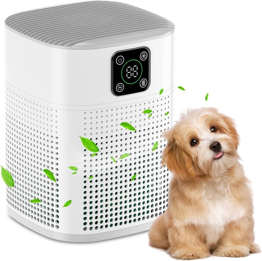 Home Air Purifier with H13 HEPA Filter Covers 600sqft 3 Speeds
