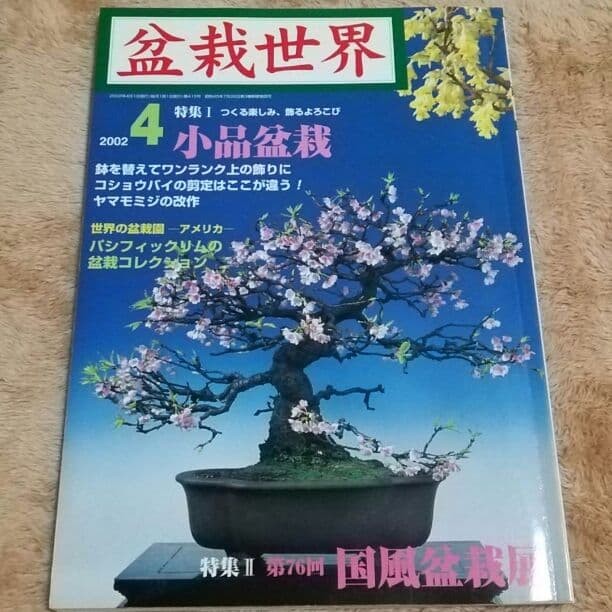 Bonsai World April 2002 Issue Japanese Magazine Bonsai Art Collectible