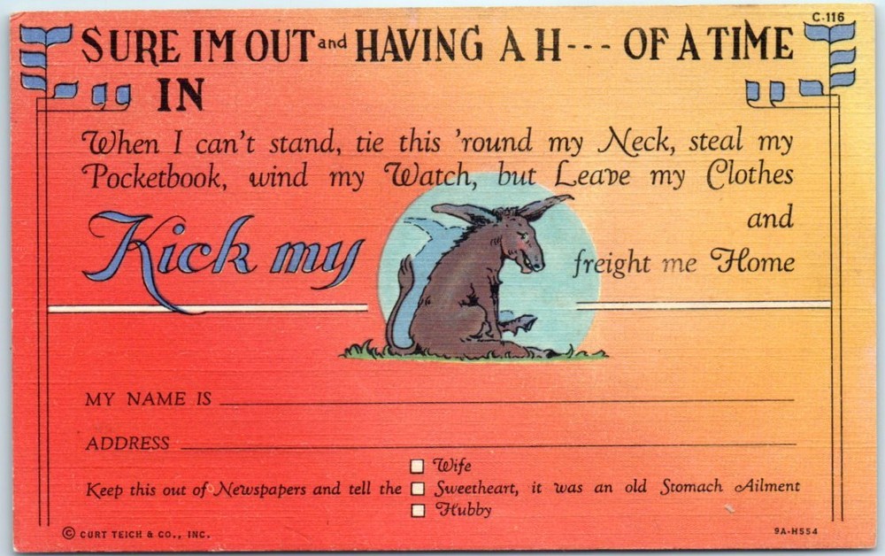 Postcard - Sure I'm Out and Having A H--- Of A Time In - Donkey Art Print