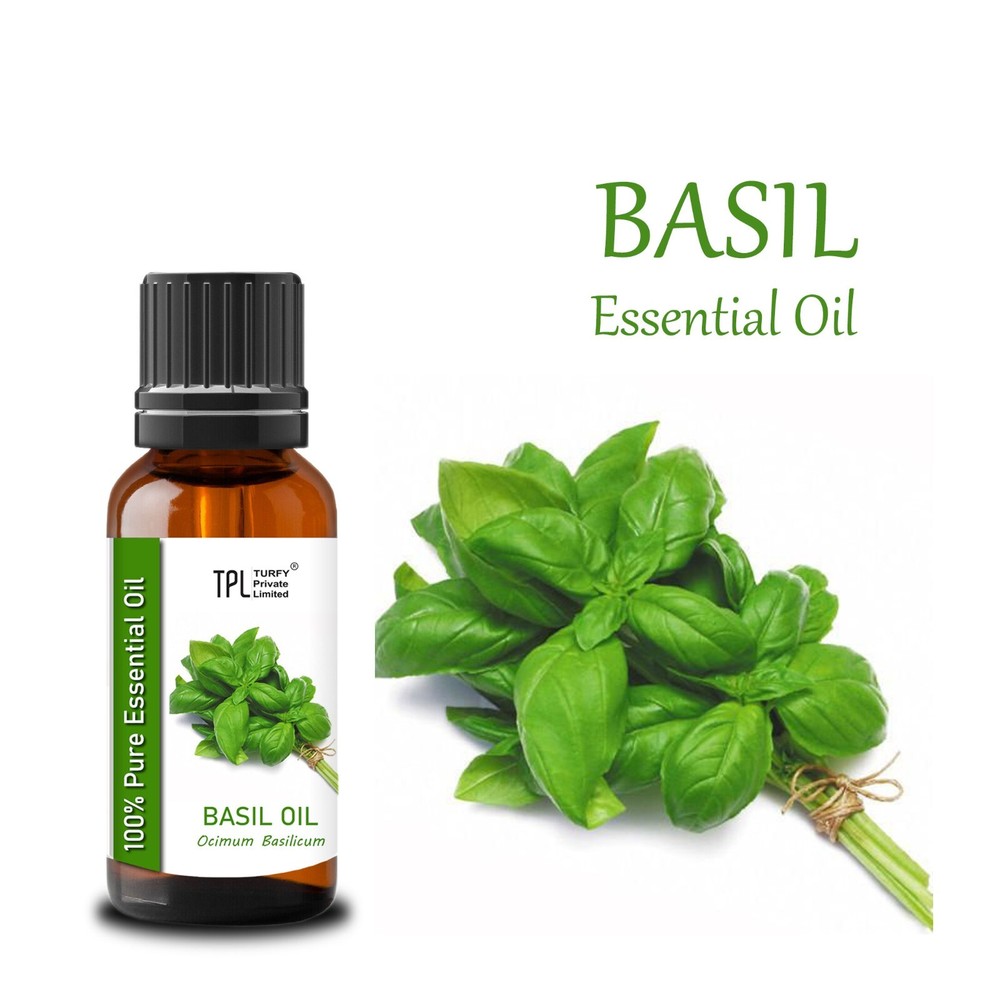 100% Pure Basil Essential Oil for Aromatherapy & Wellness