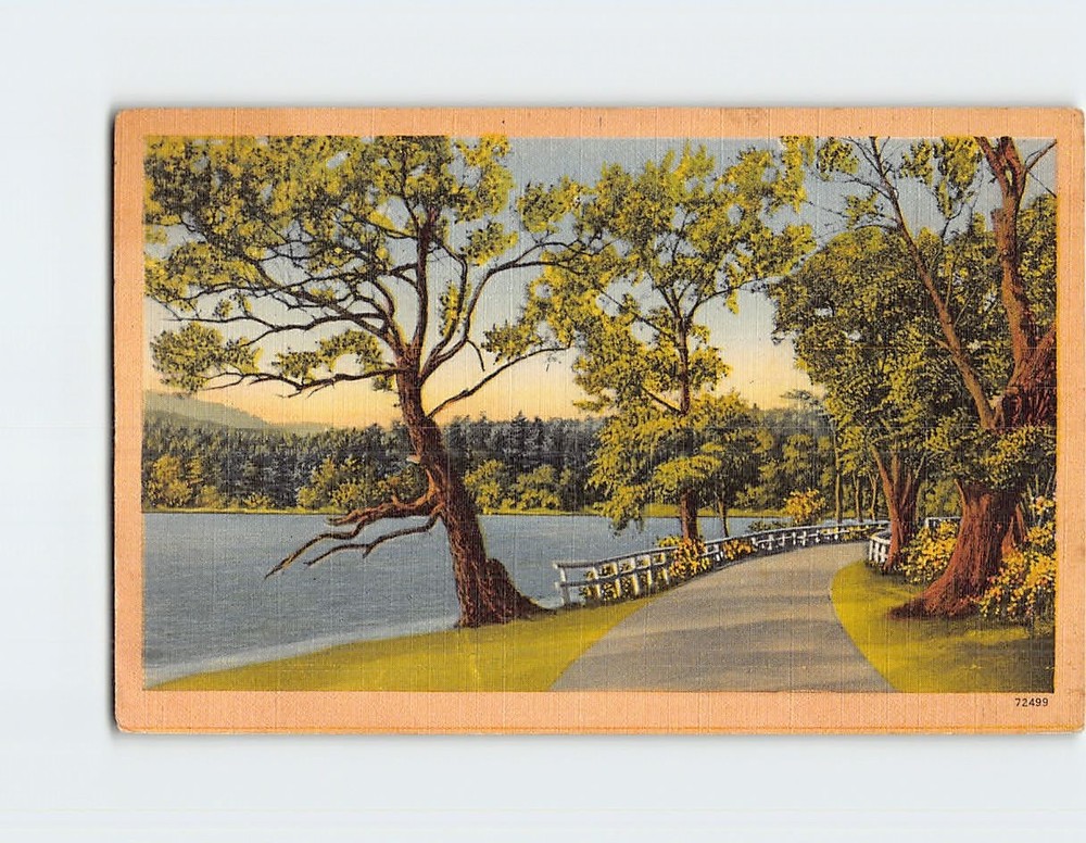 Postcard Road Lake Nature Landscape Scenery