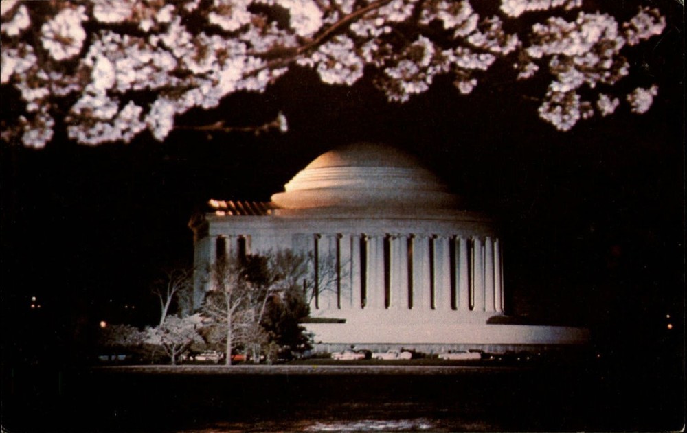 Jefferson Memorial at night ~ Washington DC cherry tree blossoms ~ postcard