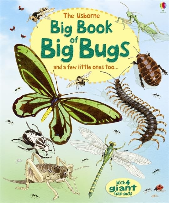 Big Book of Big Bugs (Usborne Big Book of Big Things... by Emily Bone 1409532984FREE US DELIVERY | ISBN: 1409532984 | Quality Books