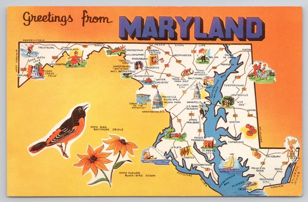 Vintage Greetings from Maryland Map Postcard - Dexter Press State Bird Flower