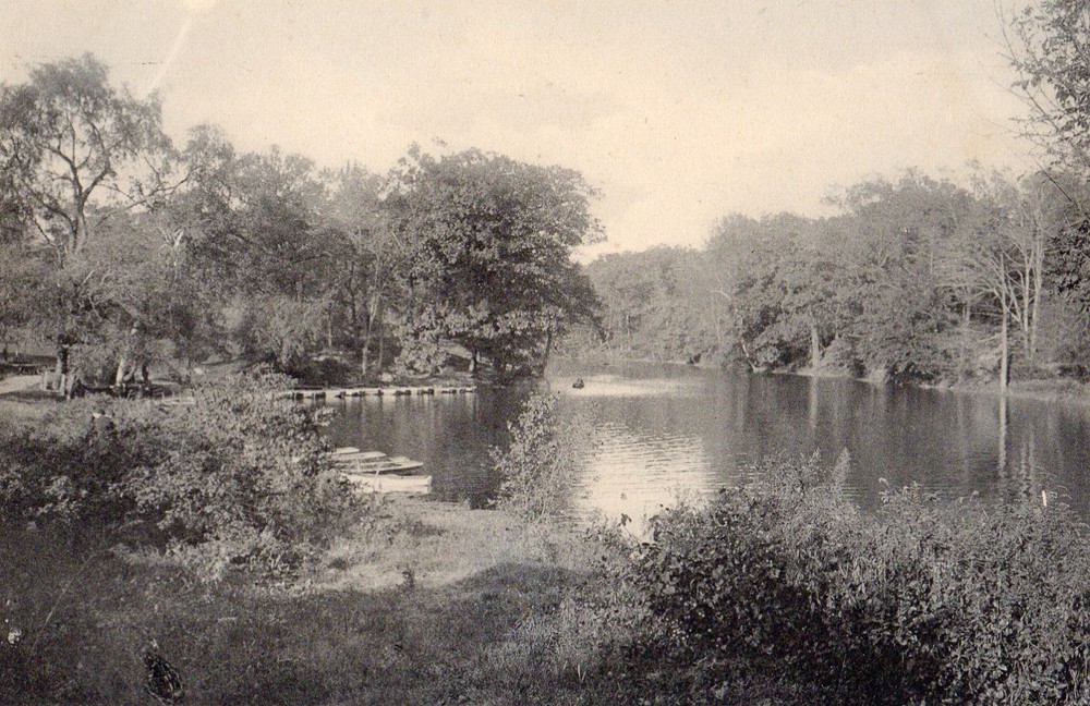Bronx River in Bronx Park in New York City NY Pre 1908