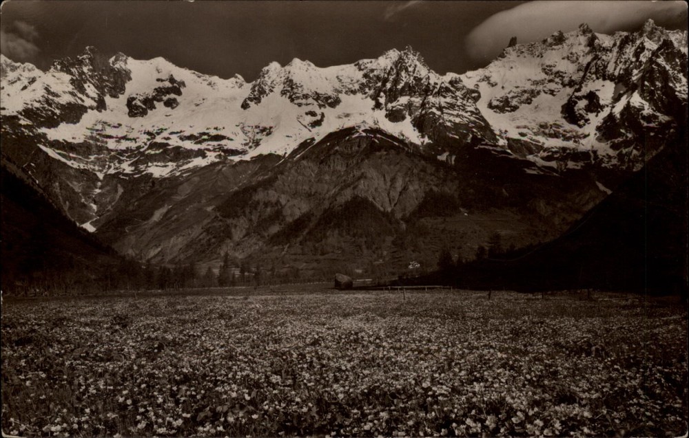 Mountain View Courmayeur Italy vintage postcard s839
