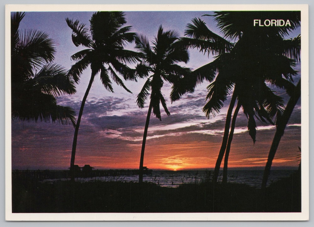 State View~Palm Silhouettes @ Sunset @ Pier In Florida~Continental Postcard