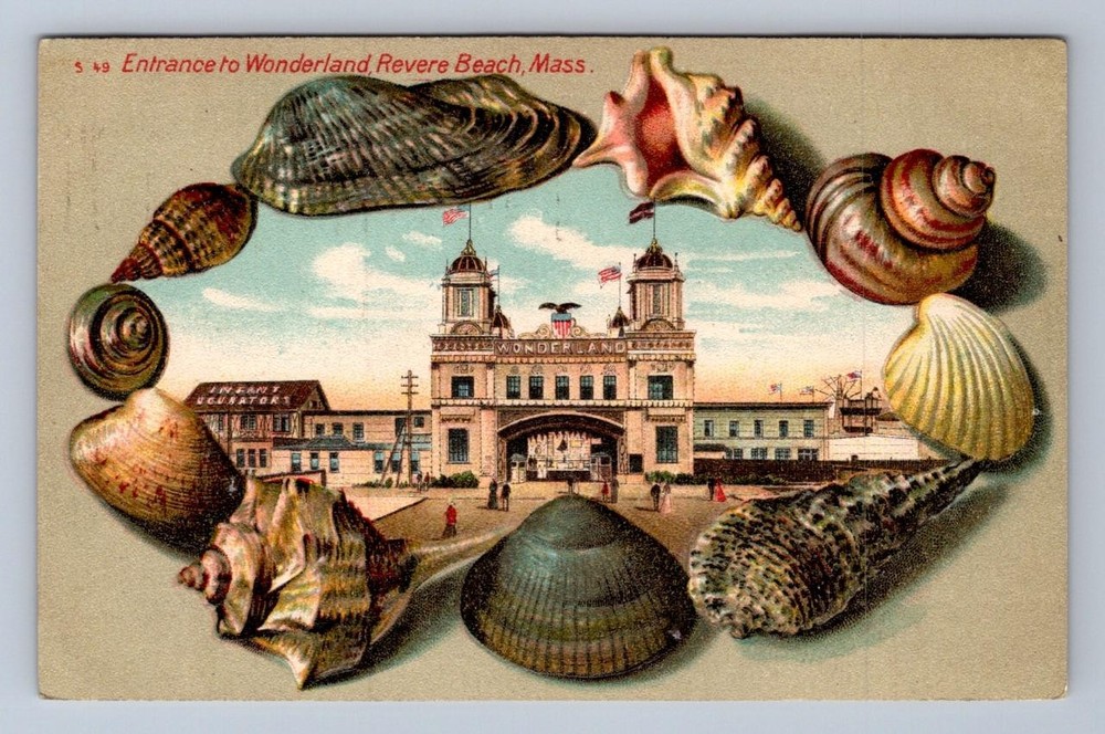 Wonderland Revere Beach Massachusetts S49 Langsdorf Shell Border Postcard 1907