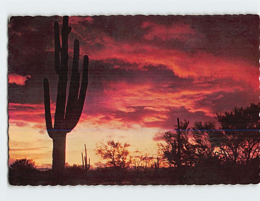Postcard Desert Sunset