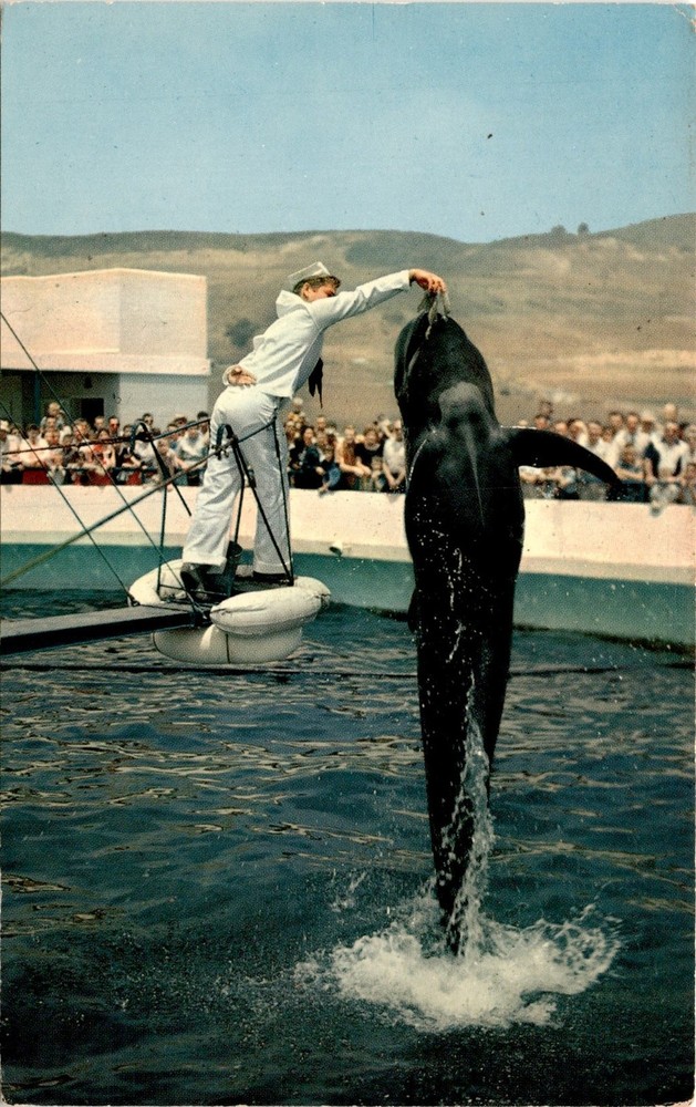 OCEANARIUM, INC., MARINELAND OF THE PACIFIC, Palos Ver Postcard