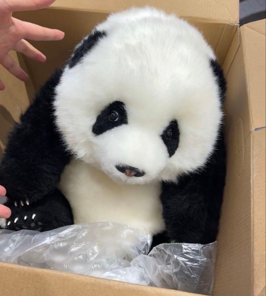 Realistic Panda Stuffed Toy, 5-month-old, Soft Fur, Includes Brush & Lint Roller