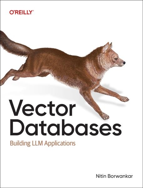 Vector Databases : A Practical Introduction, Paperback by Borwankar, Nitin, L...