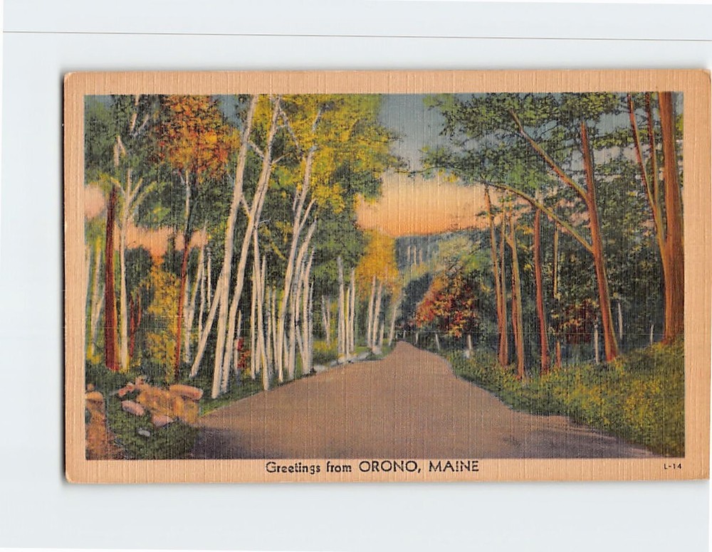 Postcard Country Road Nature Scene Greetings from Orono Maine USA