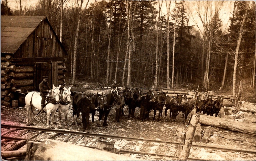 Logging Camp Lumberjacks & Draft Horses Railroad Tracks RPPC Postcard      35533