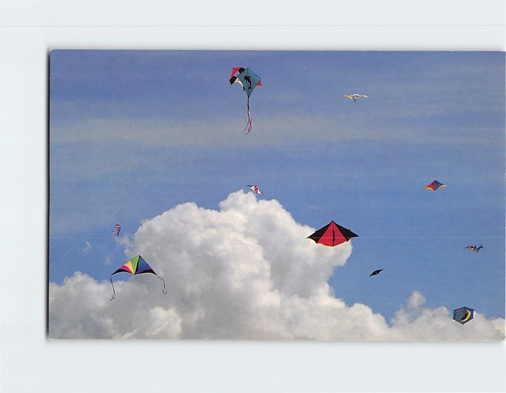 Postcard Flying kites Long Beach Peninsula Washington USA