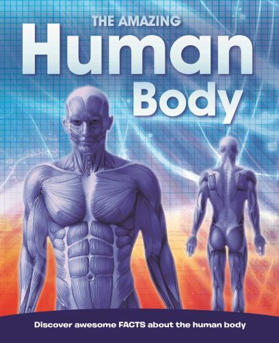The Amazing Human Body  hardcover Used - Very Good