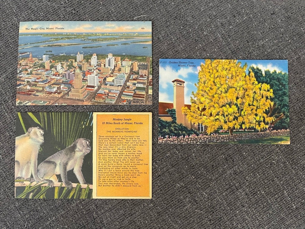 Vintage Linen Postcards Florida~ Miami, The Magic City, Monkey Jungle & More