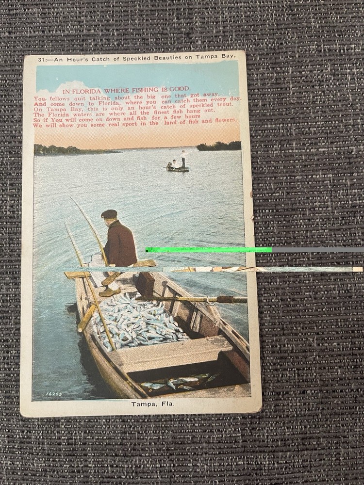 Vintage Linen Postcard Florida~ A Hours Catch Of Speckled Beauties On Tampa Bay