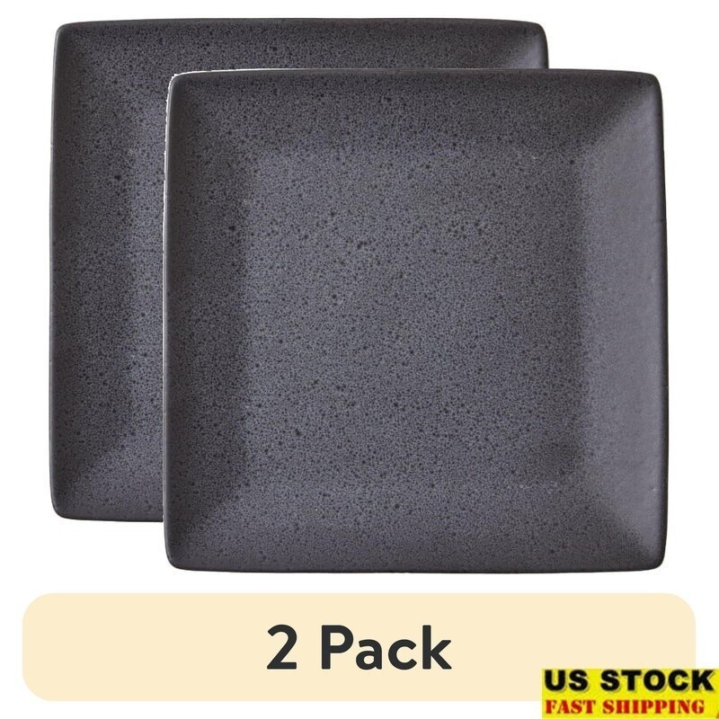 2 Pack Square Stoneware Dinner Plates Dishwasher Microwave Safe Artistic Design