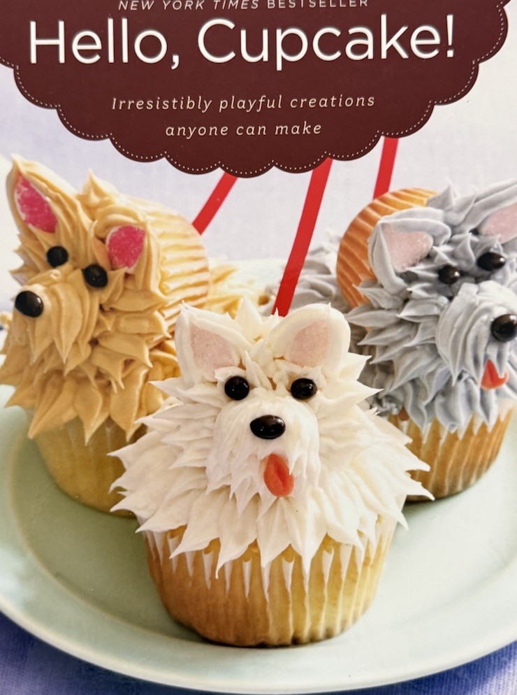 HELLO, CUPCAKE! by Karen Tack & Alan Richardson NEW Baking Cookbook (Like New)