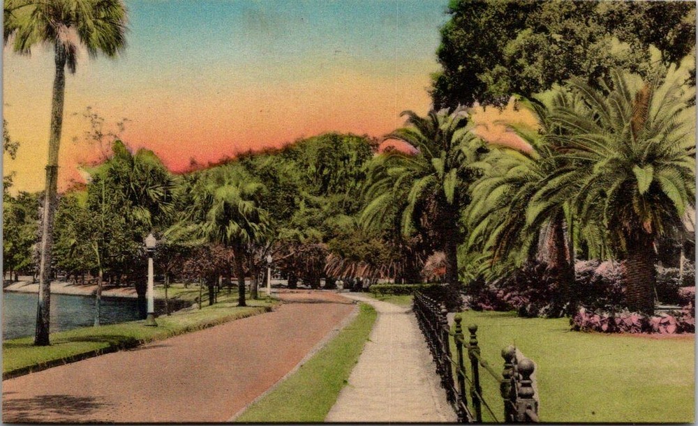 A Lake Drive Winter Park Florida Hand-Colored Palm Trees Vintage Postcard