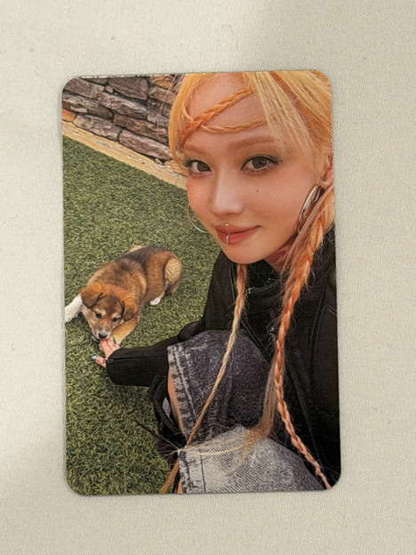 Aespa Winter Armageddon Photocard