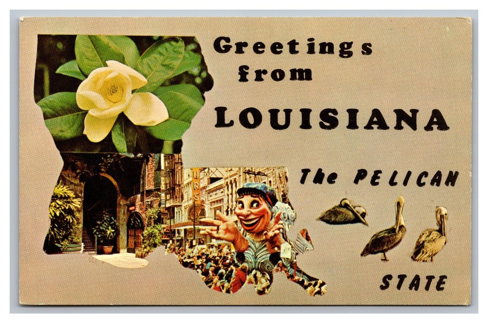 Greetings from Louisiana LA The Pelican State Multi-View Chrome Postcard