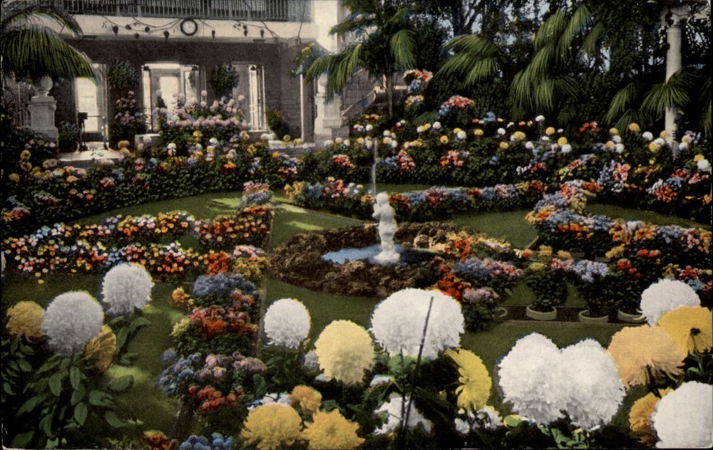 Chrysanthemums Jewel Box Forest Park St Louis Missouri ~ 1945 vintage postcard