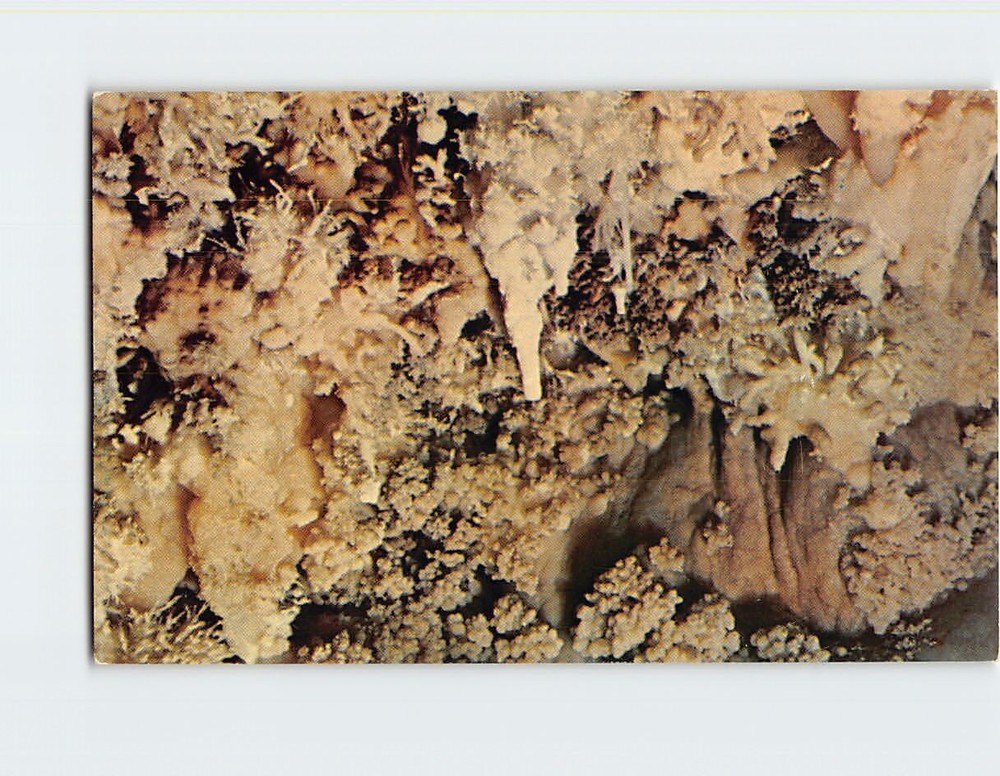 Postcard Variety of Formation Timpanogos Cave National Monument Utah USA