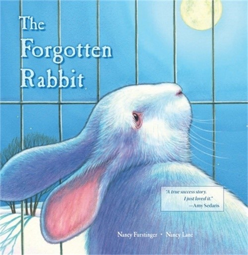The Forgotten Rabbit (Hardback or Cased Book)