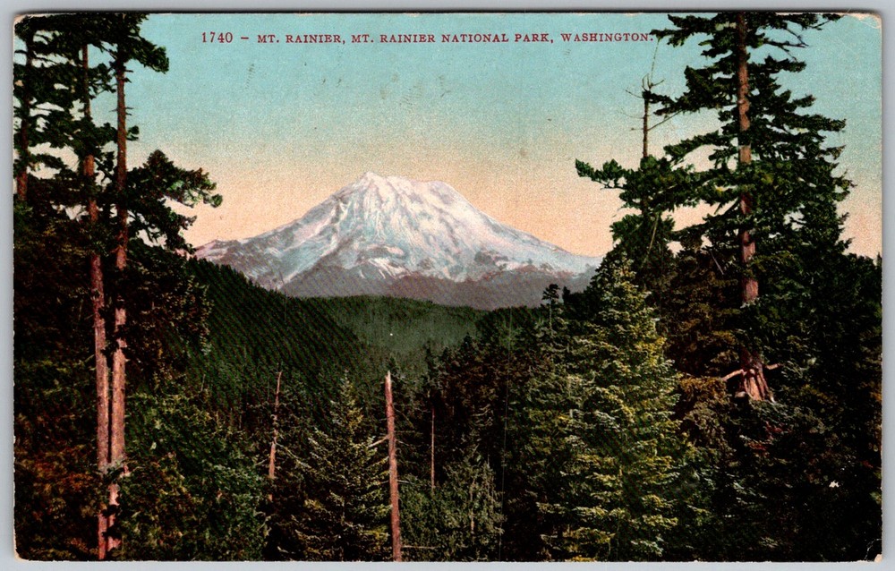 Antique Postcard MT Rainier Mount Rainier National Park, WA 1910s