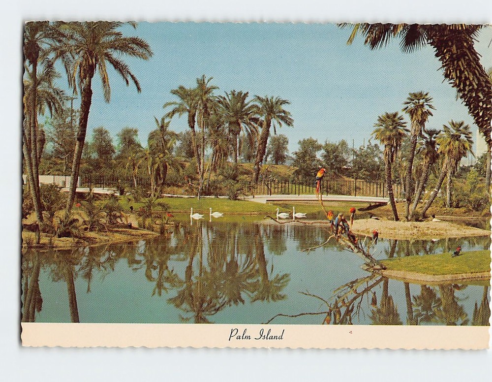Postcard Palm Island, Los Angeles, California
