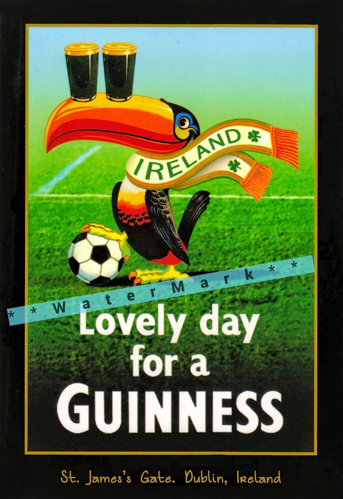 Vintage Ireland Football Toucan Retro Poster Art Print for Décor