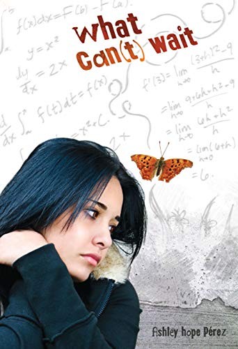 What Can(t) Wait, Perez Ashley Hope
