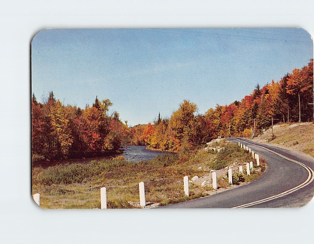 Postcard Autumn Forest Scene Greetings from Beulah Michigan USA