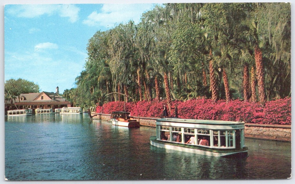 Vintage Silver Springs FL Glass Bottom Boat Azaleas Plastichrome Postcard